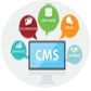 CMS-development